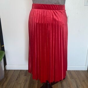 Ladies Pleated Skirt
